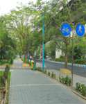 Cycle Path