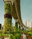 Green Zone